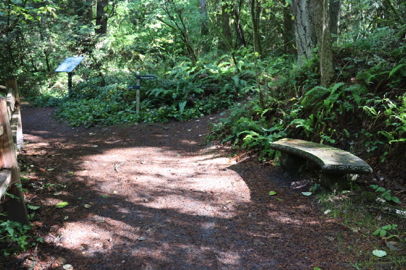 Trail junction with directional signage, bench and interpretive display